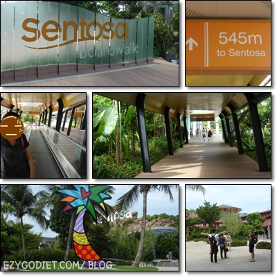 สิงคโปร์3-4 sentosa